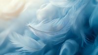 Delicate white feathers floating on blue background with soft focus and dreamy atmosphere. Gentle movement creates ethereal, peaceful mood for spiritual designs.