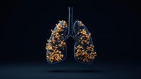 Anatomical lungs filled with glowing golden particles against dark background, medical visualization showing respiratory system structure and function.