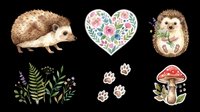 Cute hedgehog characters with floral heart, paw prints, botanical plants and red mushroom isolated on transparent background. Ready for t-shirt design, stickers, clipart and print-on-demand products.