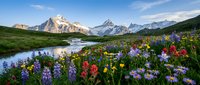 Alpine meadow with colorful wildflowers blooming beside mountain lake reflecting snow-capped peaks under blue sky for nature photography and travel content.