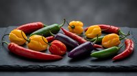 Colorful assortment of fresh hot chili peppers including red, yellow, green and purple varieties arranged on dark slate surface for culinary cooking ingredients.