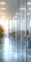 Modern office corridor with glass partition walls, indoor plant and natural lighting creating bright contemporary workspace atmosphere for business interior design.
