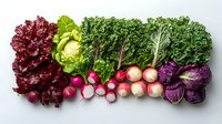 Fresh organic vegetables arranged in rainbow pattern with lettuce, kale, radishes and purple cabbage on white background, top view for food photography and design.