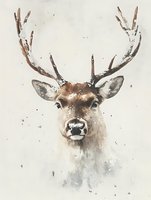 Watercolor portrait of a gentle deer with antlers on light background, soft brown and gray tones create delicate artistic effect for wall art and greeting cards.
