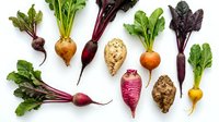 Fresh organic root vegetables and leafy greens arranged on white background including beets, turnips, radishes and carrots for healthy cooking and nutrition.