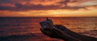 Hands holding seashell at ocean sunset with dramatic orange and purple sky reflecting on water creating peaceful moment for meditation and connection with nature.