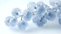 Frozen berries covered in ice crystals and frost on light blue background, macro photography with selective focus and shallow depth of field.