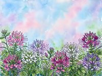 Watercolor wildflower meadow with pink, purple, and white blooms against a soft pastel sky, hand-drawn ink outlines, botanical art.