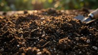 Rich, dark soil with a small shovel partially visible, ideal for gardening, agriculture, landscaping, and environmental projects.