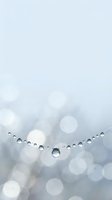 Water droplets on spider web with soft bokeh background creating dreamy morning dew scene for nature photography and wellness designs.