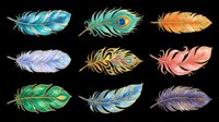 Colorful feathers isolated on transparent background, ready for t-shirt design, clipart, stickers, sublimation, print-on-demand products and digital crafts.