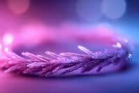 Glittering purple pine branch with frost crystals in soft focus against pink and blue bokeh background creates dreamy winter atmosphere.