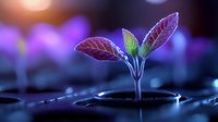 Young plant seedling with purple leaves emerging from soil against blurred purple bokeh background, macro photography showing growth and new beginnings in nature.