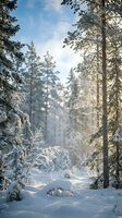 Serene winter forest landscape with snow-covered evergreen trees, tall pine trunks, and pristine white ground under bright sunlight. Ideal for winter travel, nature, and seasonal projects.