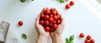Hands holding fresh red cherry tomatoes with basil leaves scattered on white background for healthy cooking and organic food concepts.