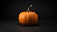 Orange pumpkin with curved stem on dark background for autumn harvest, Halloween decoration, thanksgiving celebration and seasonal design projects.