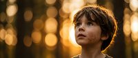 Young boy with curly hair looking up thoughtfully during golden hour sunset with warm bokeh lights creating dreamy atmosphere for childhood wonder concepts.
