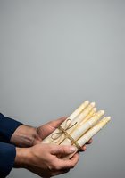 Hands holding bundle of rolled parchment scrolls tied with twine against neutral background, suitable for education, achievement, diploma, and certificate design projects.