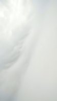 Soft white and gray abstract background with flowing curves and gentle shadows, suitable for design overlays, web backgrounds, and minimalist projects.