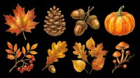 Autumn nature clipart set with maple leaf, pine cone, acorns, pumpkin, berries, oak leaves, and mushrooms, isolated on transparent background, ready for seasonal designs.