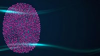 Digital fingerprint scan with glowing pink neon lines on dark blue background for cybersecurity and biometric authentication technology concepts.