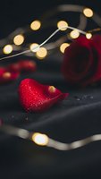 Red rose petals with warm fairy lights creating romantic atmosphere on dark background for Valentine's Day celebration and love concepts.