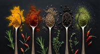 Colorful spices and herbs arranged in wooden spoons on dark background. Turmeric, paprika, cumin, black pepper, dried herbs create vibrant culinary display.