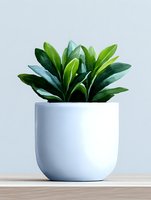 Lush green tropical plant with glossy leaves growing in modern white ceramic pot against light background. Minimalist home decor and indoor gardening concept.