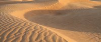 Golden sand dunes with rippled texture patterns in warm desert landscape during sunset creating natural waves and curves in arid environment.