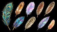 Isolated feather collection featuring peacock, gold, purple, and brown plumage designs on transparent background. Ready for t-shirt designs, clipart, stickers, sublimation, and print-on-demand projects.