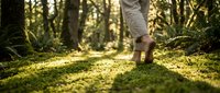 Person walking barefoot on moss-covered forest floor with sunlight filtering through trees creating peaceful nature scene for wellness and mindfulness concepts.