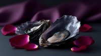 Fresh opened oyster shells on dark background with scattered red rose petals creating romantic mood for Valentine's Day or date night celebration.