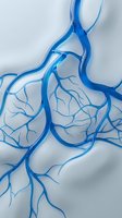 Blue blood vessels and capillaries network branching through human circulatory system for medical education and healthcare presentations.