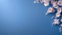 Delicate pink cherry blossoms frame corner against deep blue background, creating elegant negative space for text and design layouts. Spring floral composition.