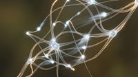 Glowing neural network with interconnected nodes and synapses on dark background, representing artificial intelligence and brain activity.