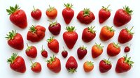 Fresh ripe strawberries arranged in rows on white background, organic red berries with green leaves isolated for healthy food design projects.