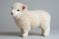 Adorable white lamb with fluffy wool coat standing against neutral gray background, showcasing soft texture and gentle expression. Perfect for farm animal and spring themes.
