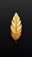 Golden metallic feather isolated on black background. Luxurious decorative element with detailed texture and elegant curves. For luxury branding and design projects.