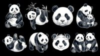 Panda bear collection isolated on transparent background, ready for t-shirt design, clipart, stickers, sublimation and print-on-demand products.