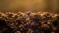 Rich, dark soil texture with warm golden sunlight illuminating particles and organic matter. Suitable for agriculture, gardening, environmental, and nature-related projects.