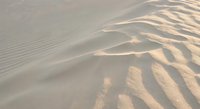 Soft golden sand dunes with natural wind-carved ripple patterns creating textured desert landscape for backgrounds and nature concepts.