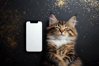 Adorable tabby kitten with white chest lying next to blank smartphone screen on dark surface with golden glitter confetti for pet app mockup design.