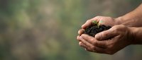 Hands holding rich soil with green seedling sprout, symbolizing growth, environmental care, and sustainable agriculture for eco-friendly projects.