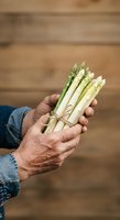 Fresh white asparagus bunch held in male hands against wooden background. Mature man displaying organic vegetables for cooking and healthy eating.