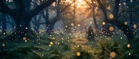 Magical forest scene with glowing golden lights floating through misty woodland atmosphere creating enchanting fairy tale ambiance for fantasy storytelling.