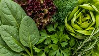 Fresh mixed salad greens including spinach, lettuce, parsley and dill herbs arranged together for healthy cooking and nutrition concepts.