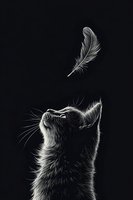 Curious cat looking up at floating feather on black background, monochrome artistic pet portrait with detailed fur texture for wall art and home decor.