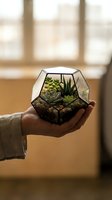 Hand holding geometric glass terrarium with succulent plants and pebbles, indoor gardening and home decor concept for botanical design projects.