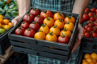 Fresh red and yellow tomatoes in wooden crate held by farmer at local market. Colorful organic heirloom varieties showcase natural produce diversity.