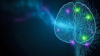 Digital brain with glowing neural networks and circuit patterns on dark blue background for artificial intelligence and technology concepts.